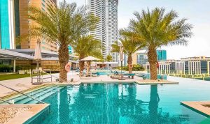 Cách trồng cây chà là kiểng dáng đẹp xanh tốt quanh năm