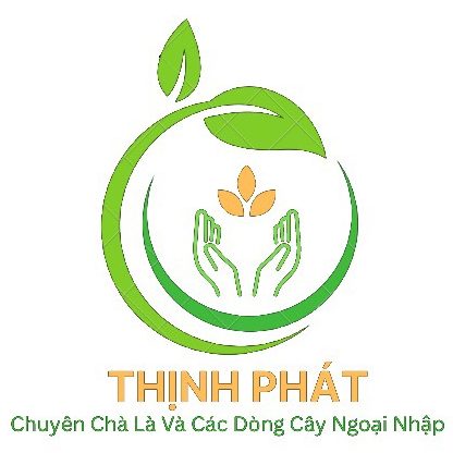 NHÀ VƯỜN THỊNH PHÁT