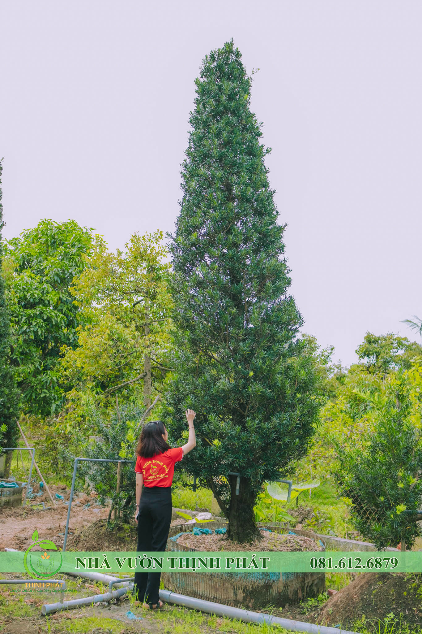 DSCF8239
