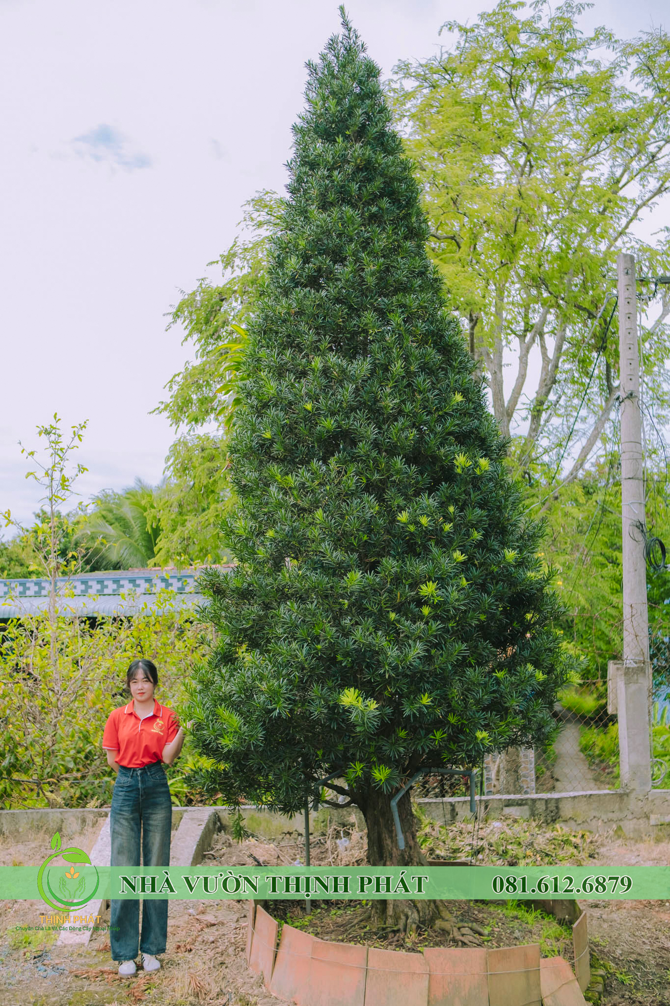 DSCF8248